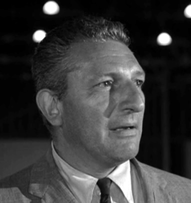 Image of actor Harold J. Stone